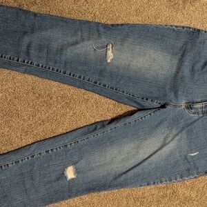 Studio Blue Distressed Skinny Jeans
